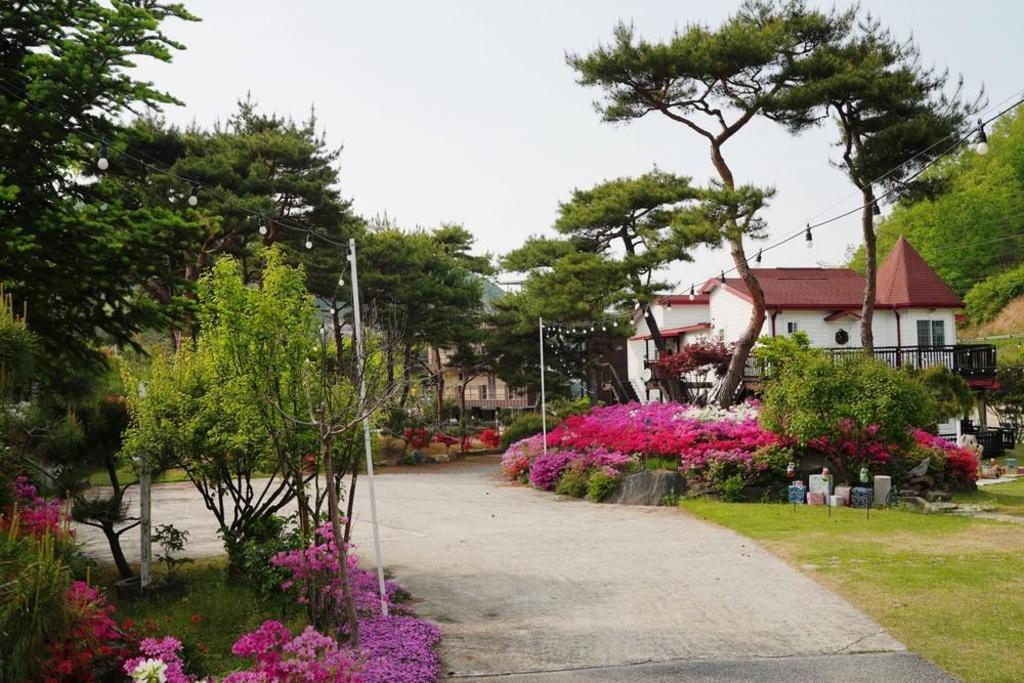 인앤인 펜션 image